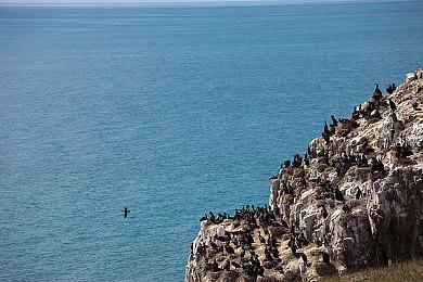 任天堂在美国为《超级马里奥》电影成立了新制作公司