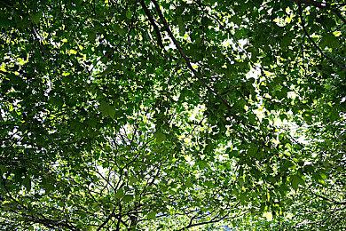 《汪汪队立大功世界》steam页面上线 9月29日发售