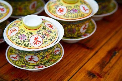 2000玩家评选《宝可梦：朱＆紫》新御三家 新叶喵人气登顶